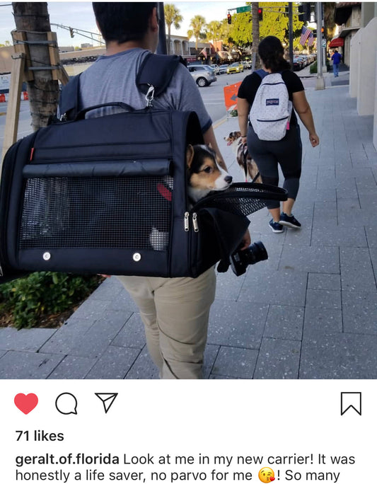 358 Hideaway™ XXL Backpack Pet Carrier