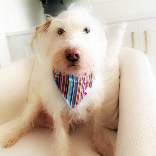 Hippie Reversible Bandana