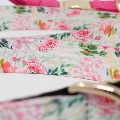 Isabella Dog Leash