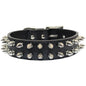Spiked Collar 2 Row - Black