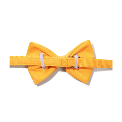 Keaton Dog Bow Tie