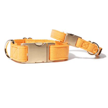 Keaton Dog Collar