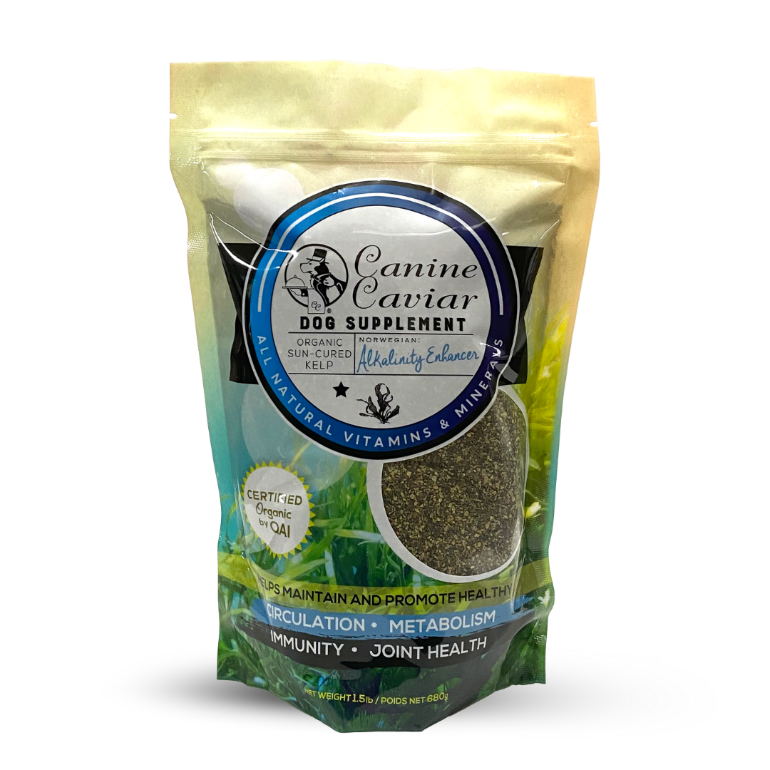 Canine Caviar Kelp Supplement