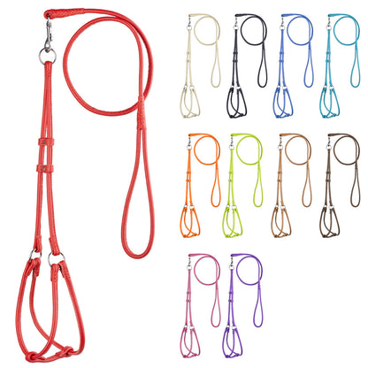 Soft Leather Round Step-In Harness + Round Lead