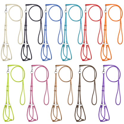 Soft Leather Round Step-In Harness + Round Lead