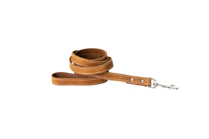 Traditional Leather Leash