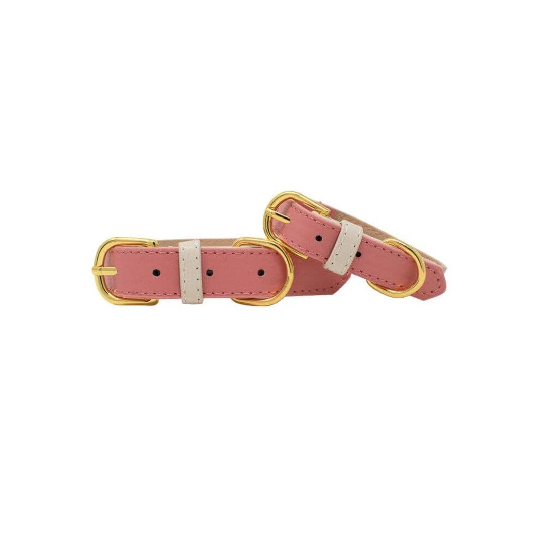 Lola Vegan Leather Dog Collar
