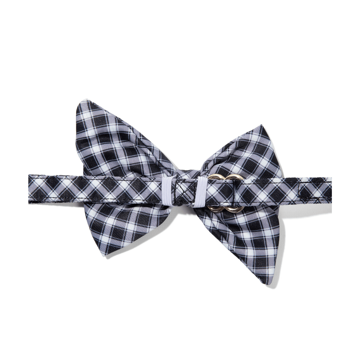 Leighton Dog Babe Bow