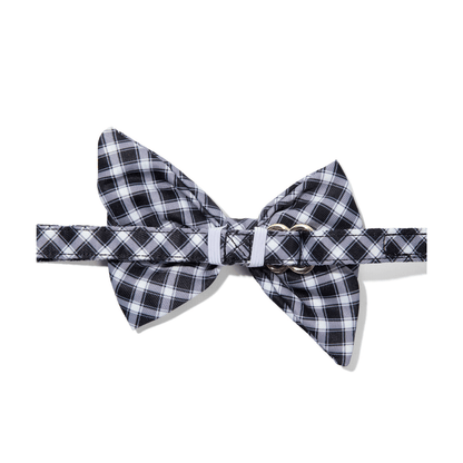 Leighton Dog Babe Bow
