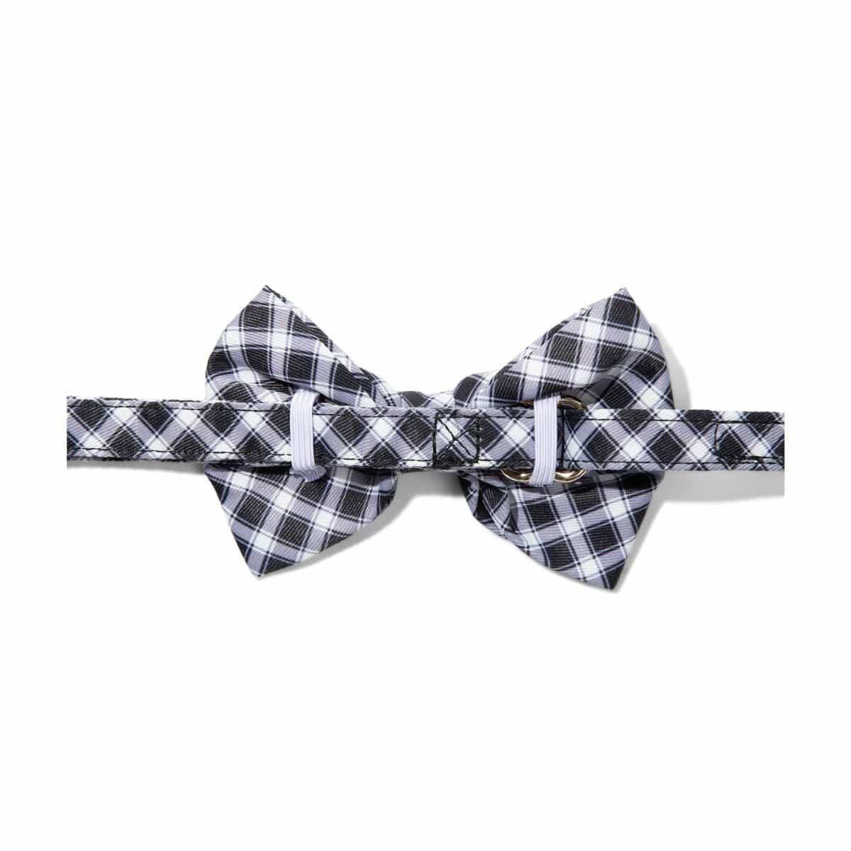 Leighton Dog Bow Tie