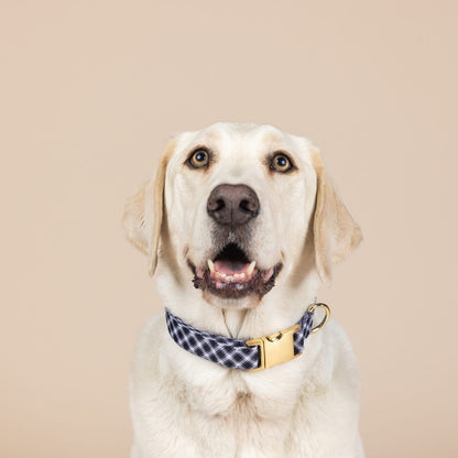 Leighton Dog Collar