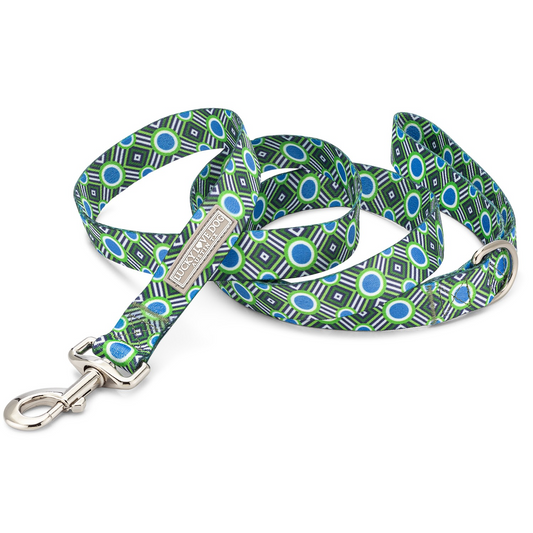 Leo Leash