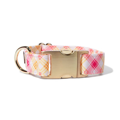 Lottie Dog Collar