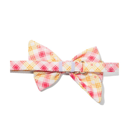 Lottie Dog Babe Bow