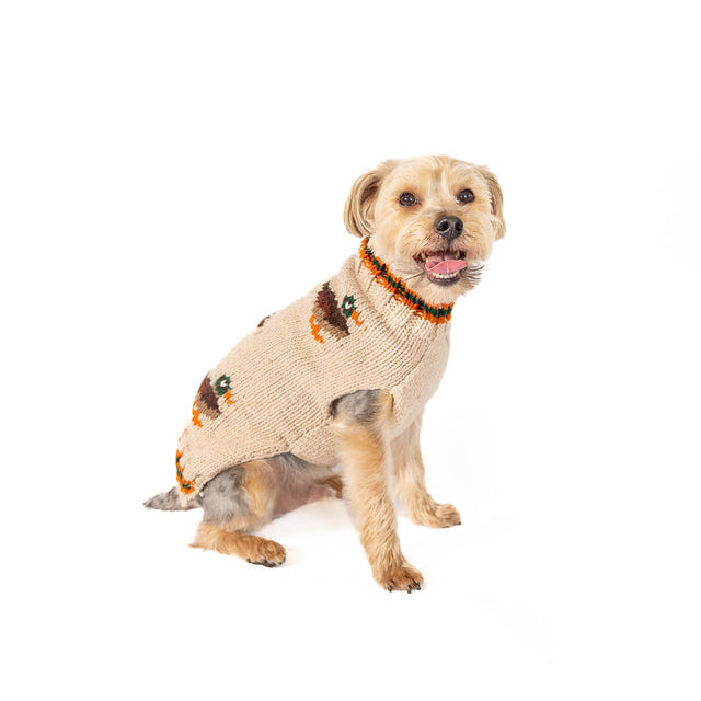 Lucky Duck Dog Sweater