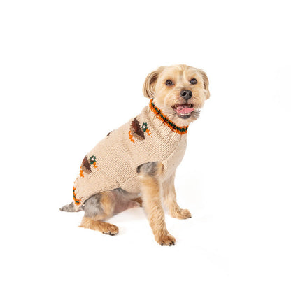 Lucky Duck Dog Sweater