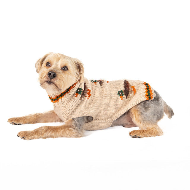 Lucky Duck Dog Sweater