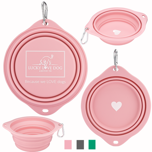 Rosy Collapsible Travel Bowl