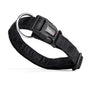 Comfort Microfiber Flat Dog Collar