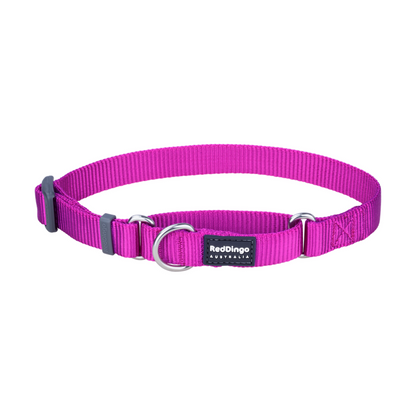 Martingale Dog Collar Fuchsia