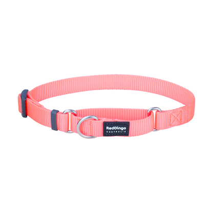 Martingale Dog Collar Hi-Vis Peach
