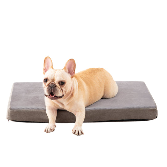 Orthopedic Grey Dog Bed