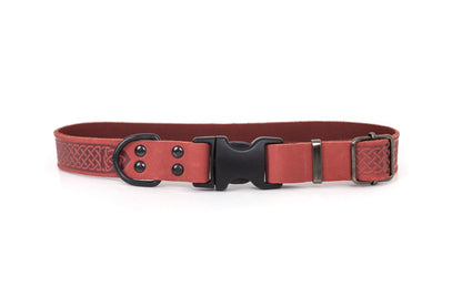 Celtic Sport Leather Collar
