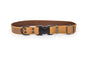 Celtic Sport Leather Collar