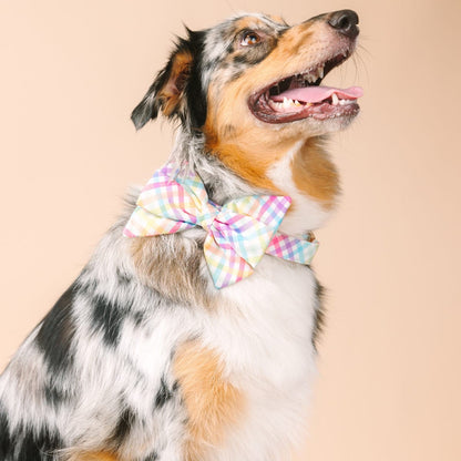Minka Dog Babe Bow