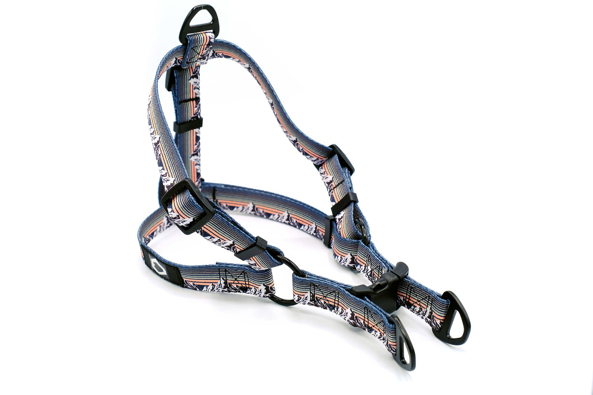 Outdoor Style Nylon Step-In Harness