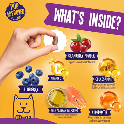 Multivitamin Chews For Dogs 9oz Jar (120 Count)