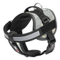 Unimax Multi-Purpose Dog Harness