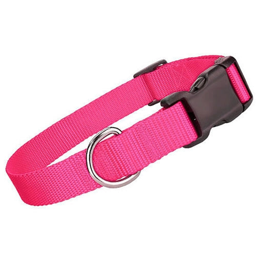 Nylon Collar - Neon Pink