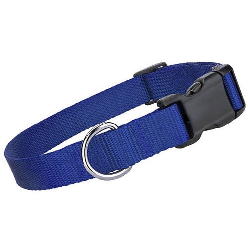 Nylon Collar - Blue