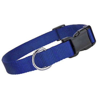 Nylon Collar - Blue