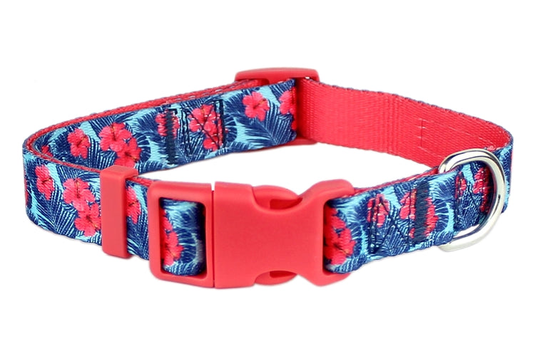 Hibiscus Pink Collar - Original