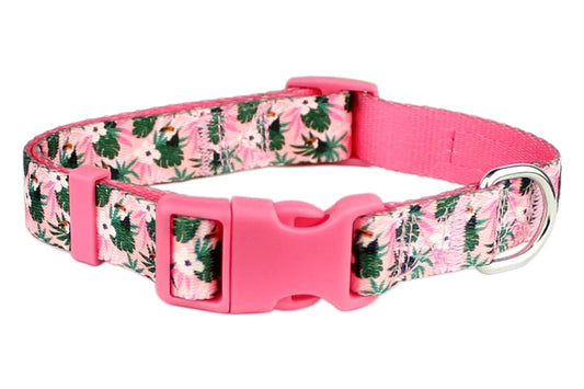 Tropical Toucans Collar - Original