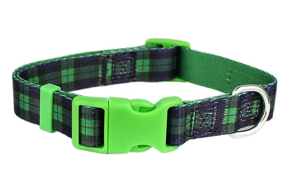 Scottish Plaid Collar - Green/Blue