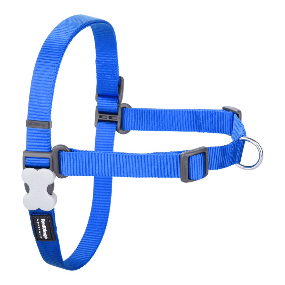 No-Pull Harness Electric Blue