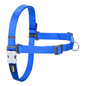 No-Pull Harness Electric Blue