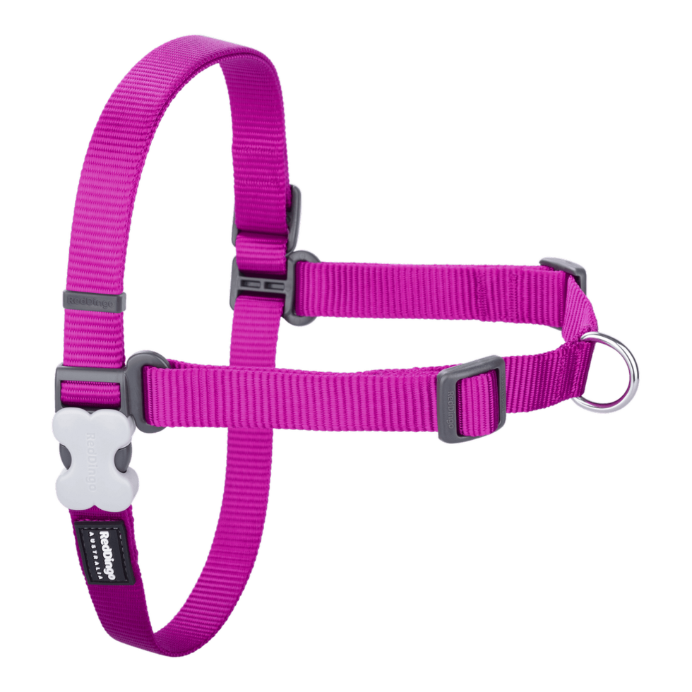 No-Pull Harness Fuchsia