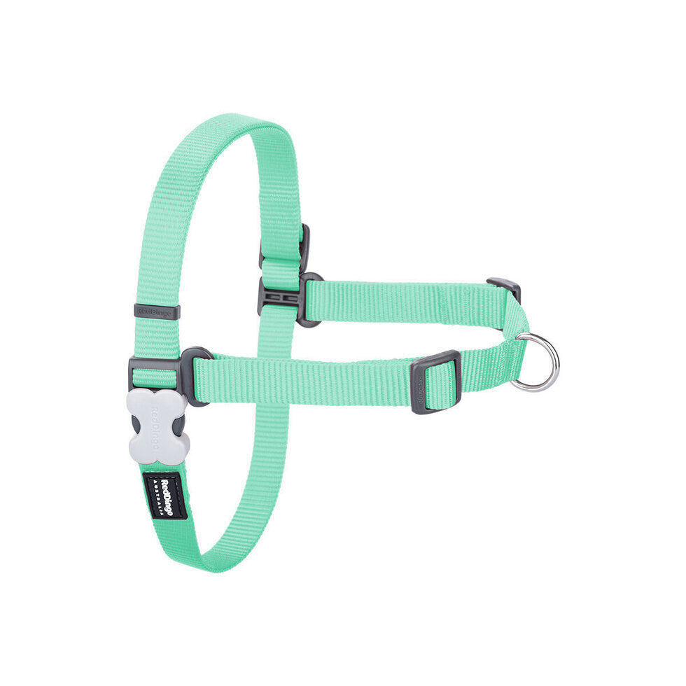 Pastel Green
