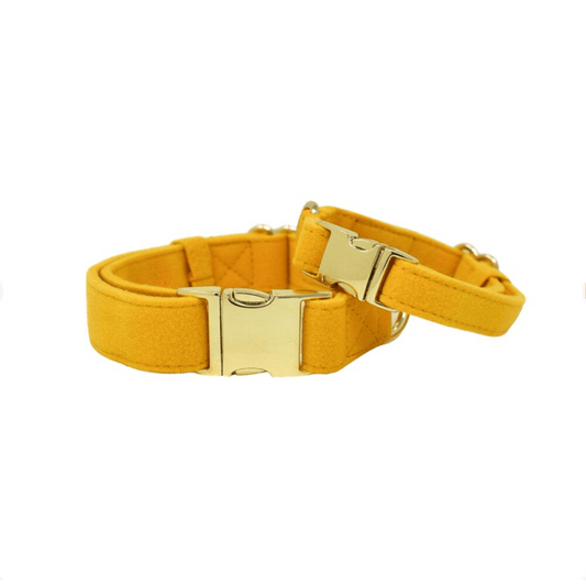 Nova Dog Collar