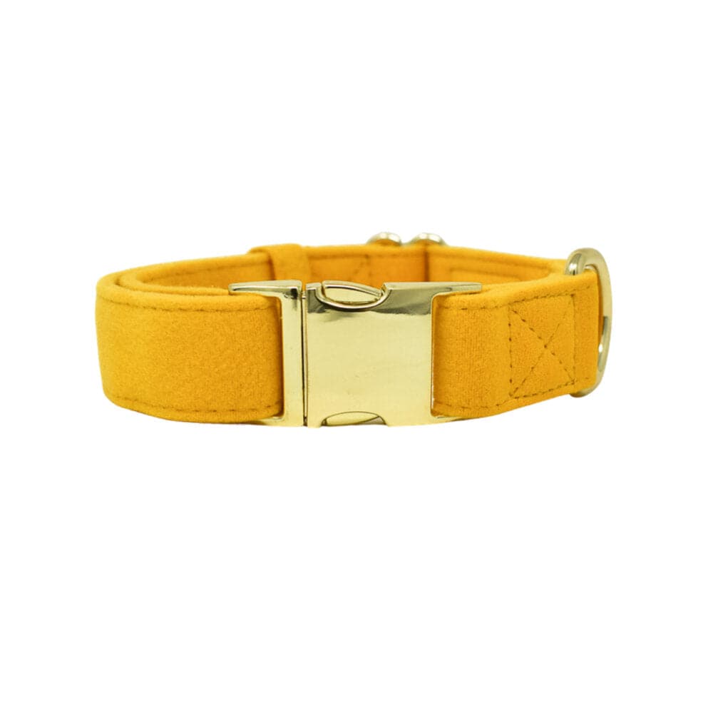 Nova Dog Collar