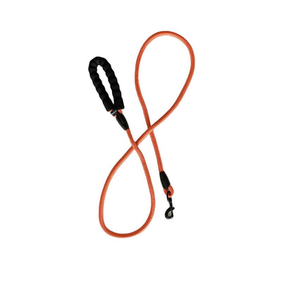 4' Rope Leash