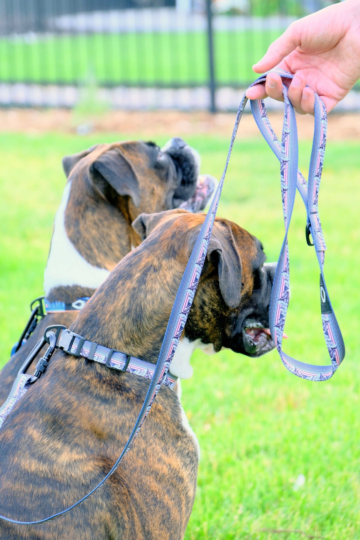 Outdoor Style Nylon Collar