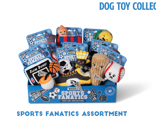 WD SPORTS FANATICS ASSORTMENT