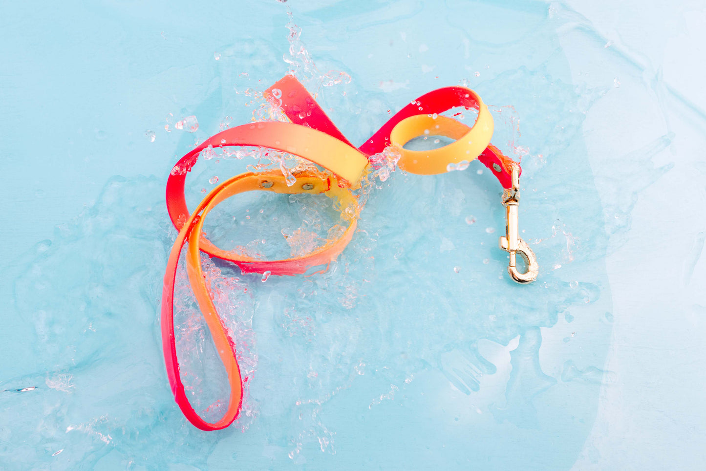 Katelin All Weather Dog Leash