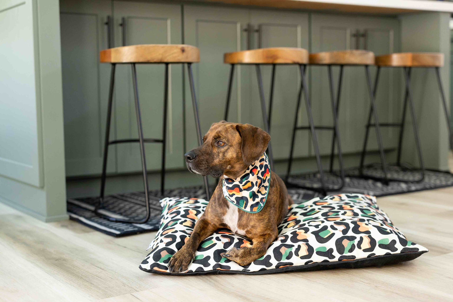 Beckett Dog Bandana