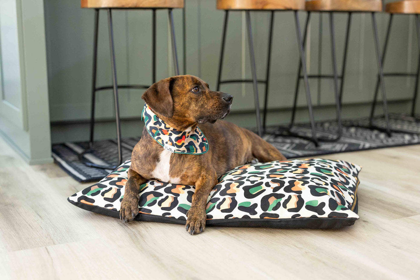 Beckett Dog Bandana